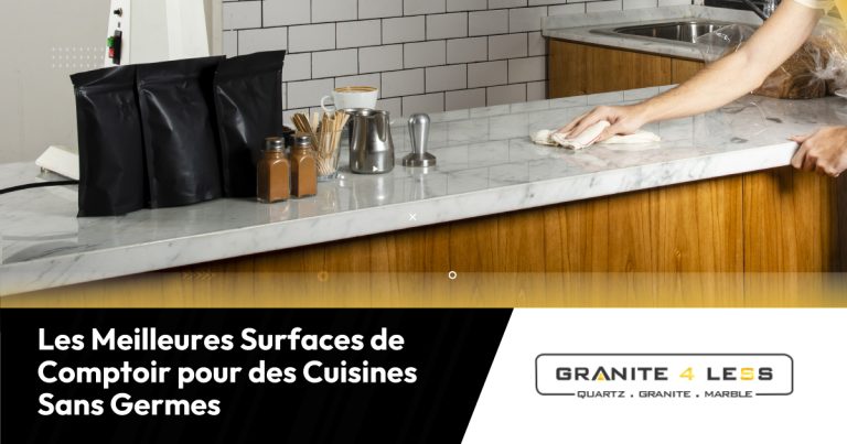 Les Meilleures Surfaces de Comptoir pour des Cuisines Sans Germes