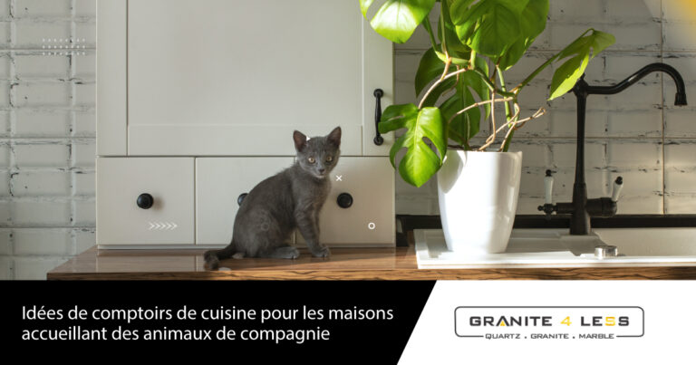 Idées de comptoirs de cuisine pour les maisons accueillant des animaux de compagnie